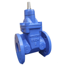 AWWA C515/C509 250PSI Non- Rising Stem Resilient Seated Gate Valve